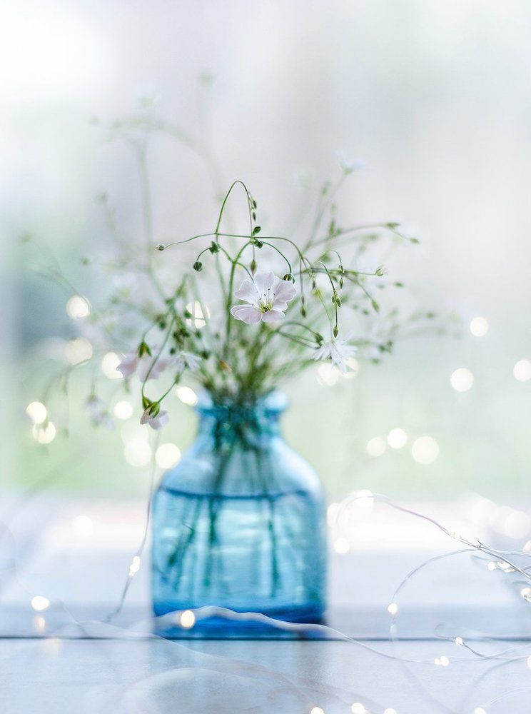 Photograph by Чернякова Анна