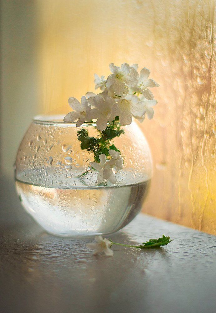 Photograph by Чернякова Анна