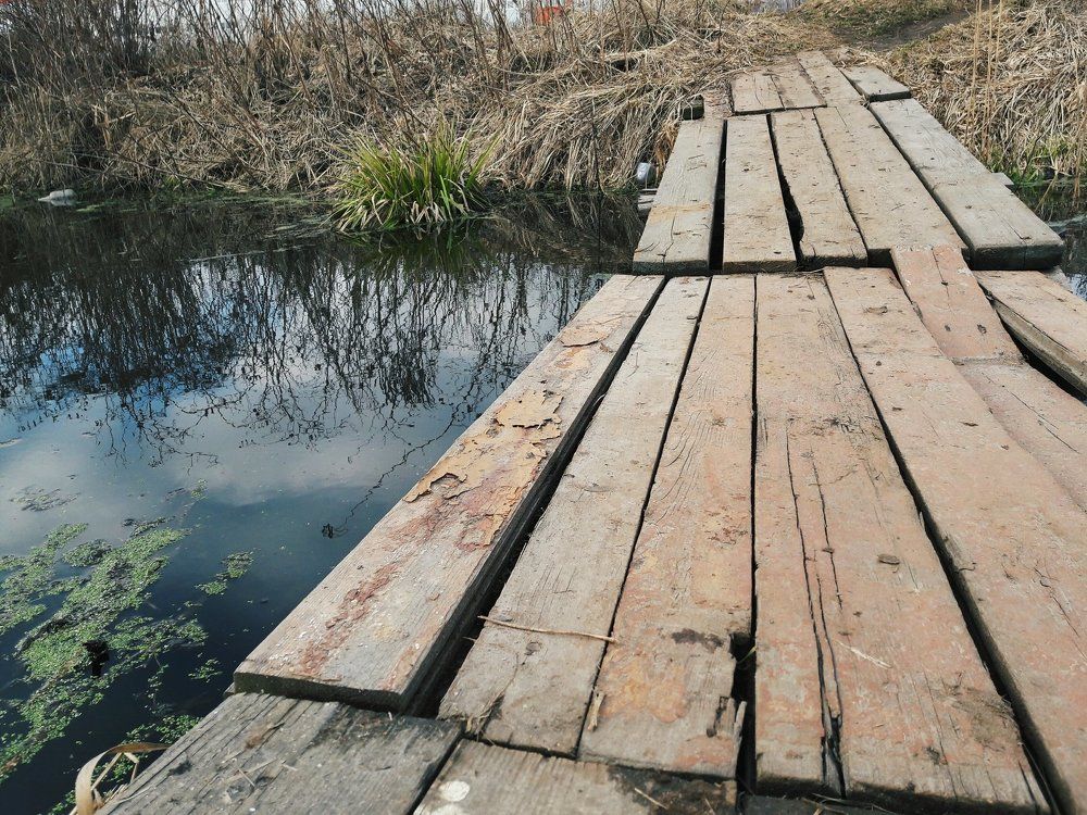 Bridge