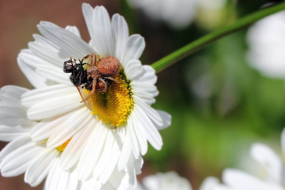 Ну давайте, давайте знакомиться... Ой ну что Вы, я не такая, я жду трамвая...