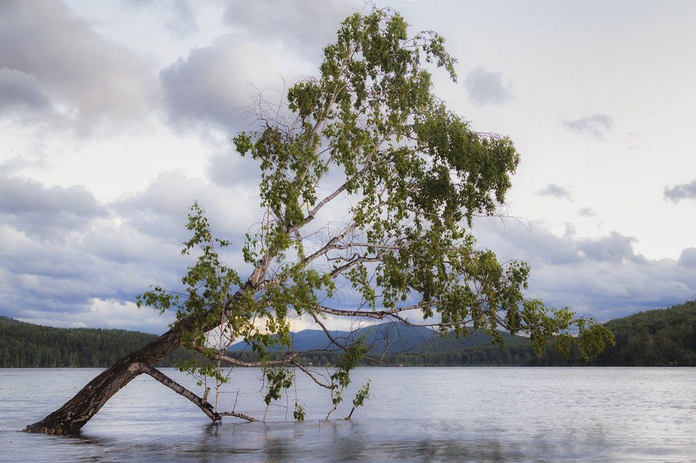 Погружение