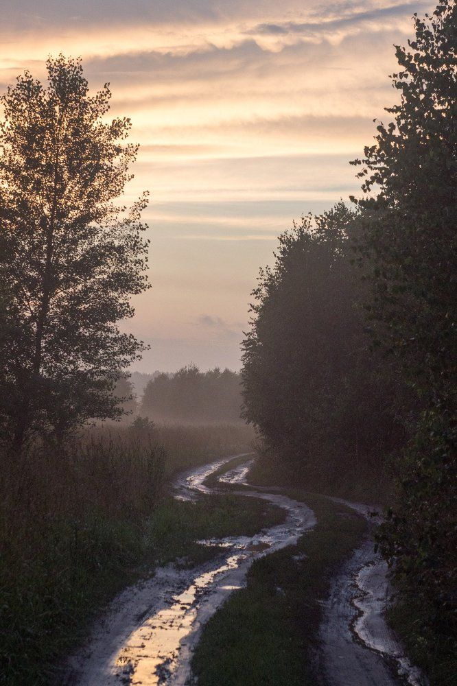 Photograph by Данила Татауров