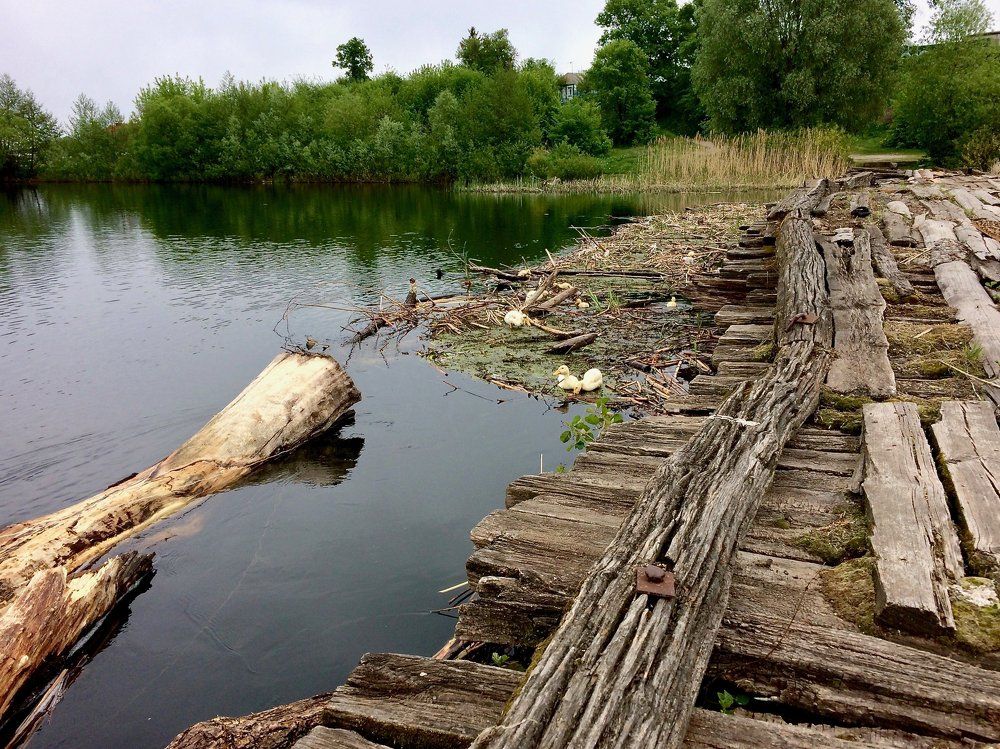 Тихое утро в деревне