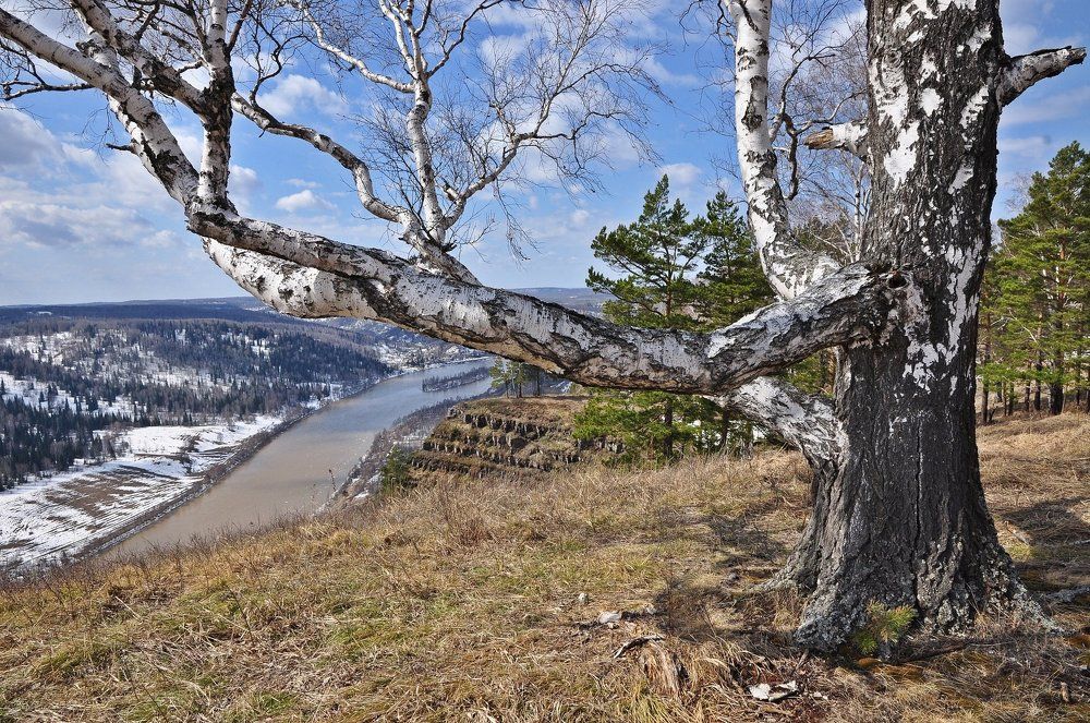 Апрельский пейзаж