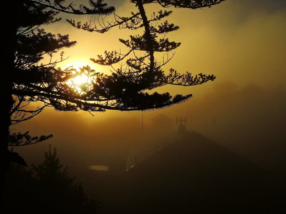 A haunting morning