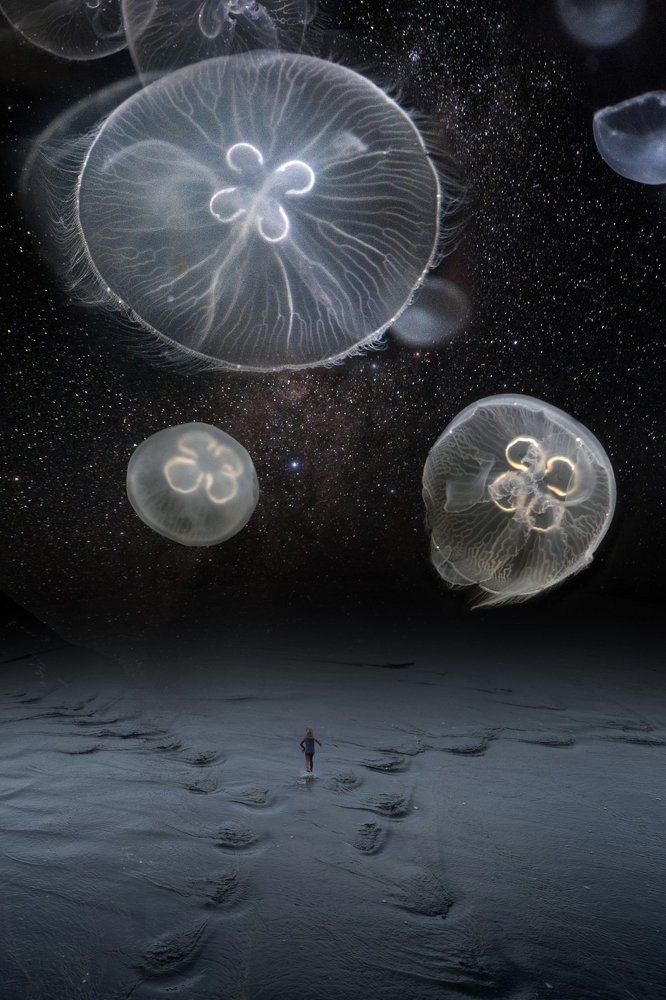 Убегая в бесконечность