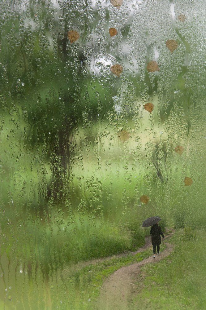 Дыхание осени