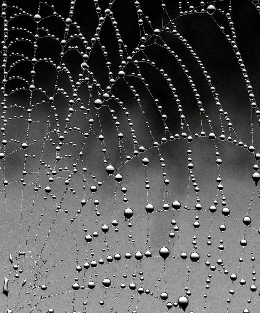 Утренние узоры