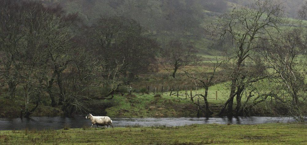 Photograph by Olesja Konstantinova