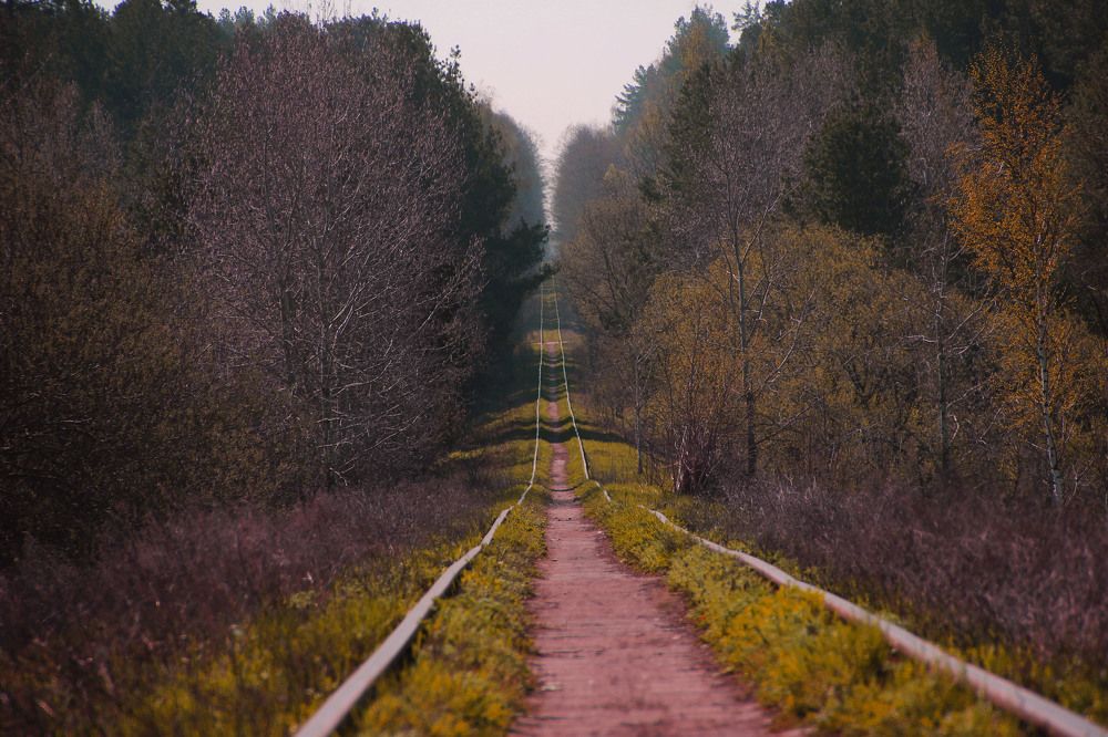 Photograph by Орлова Катерина