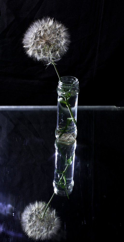 Этюд с отражением