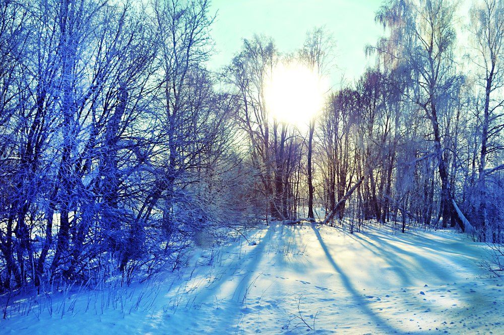 Солнечный день