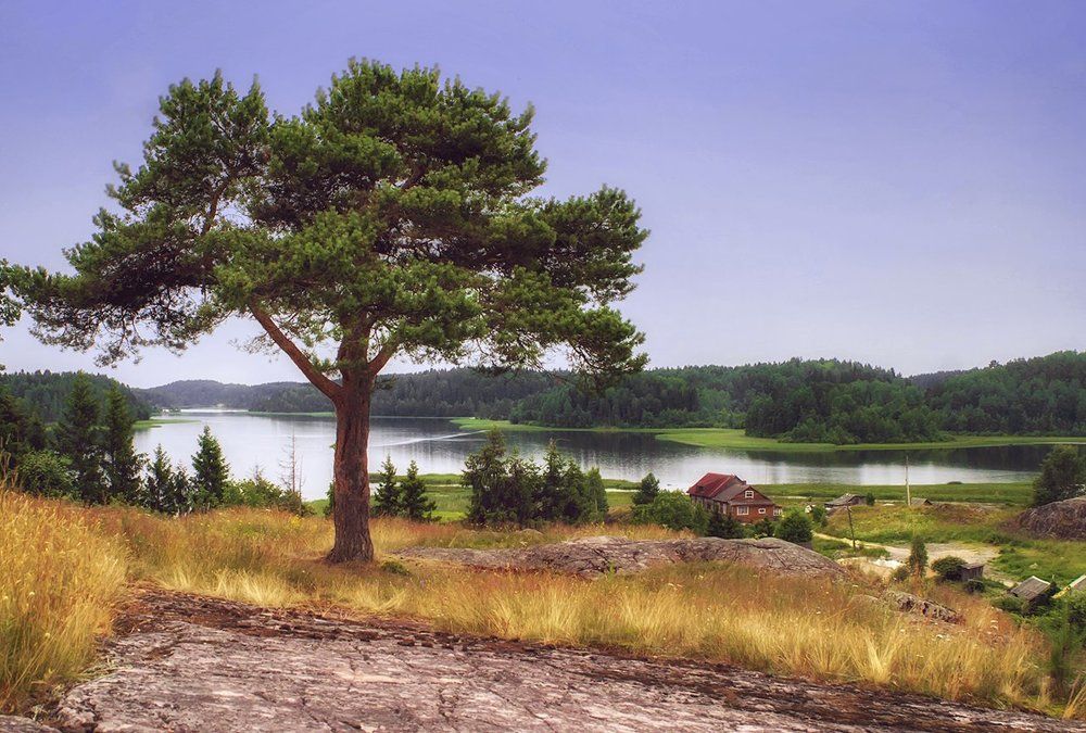 Журавлиная река