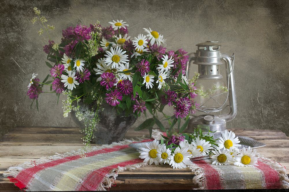 Цветы полевые