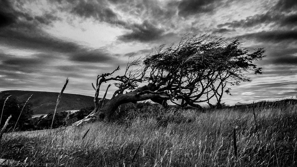 Photograph by Александр Прищепов