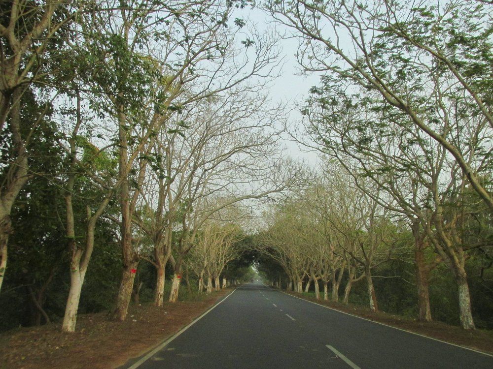 the never ending path
