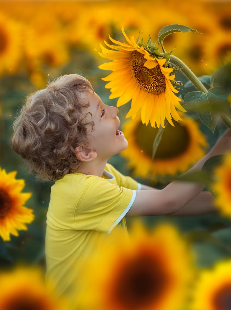 Дотянуться до солнца