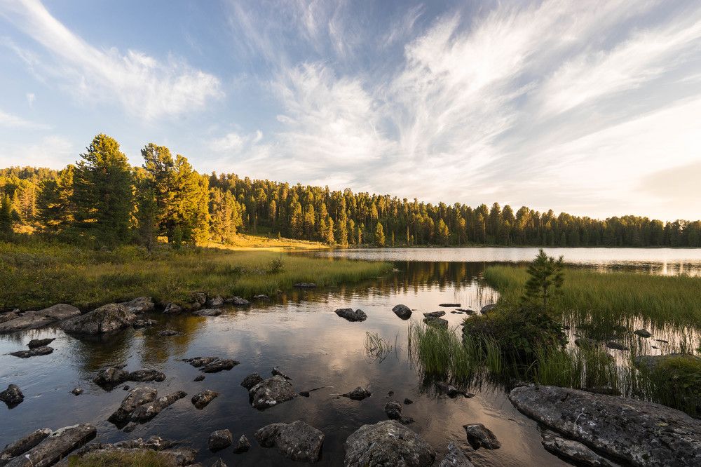 Умиротворение