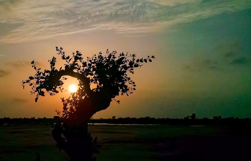 Sunset
