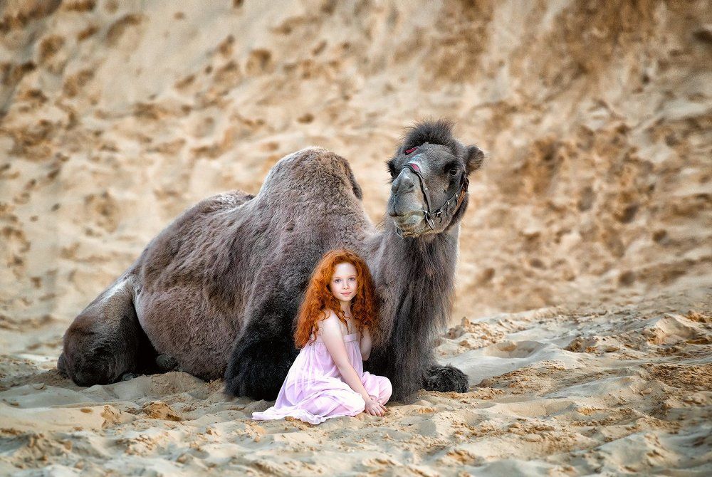 Повелитель пустыни!