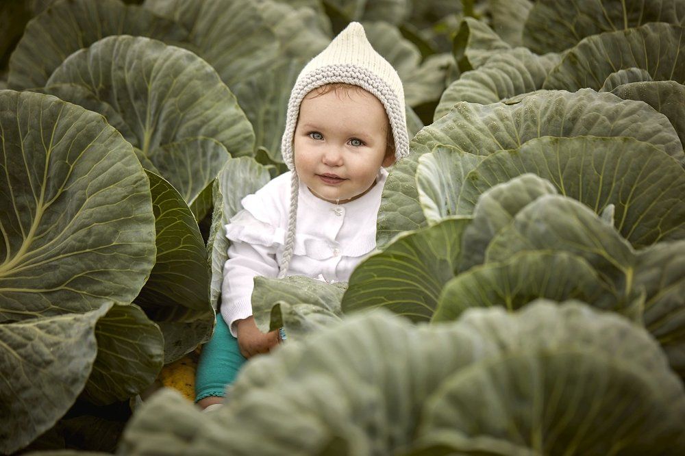 Photograph by Зайцева Оксана