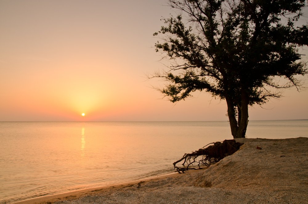 Photograph by Александр