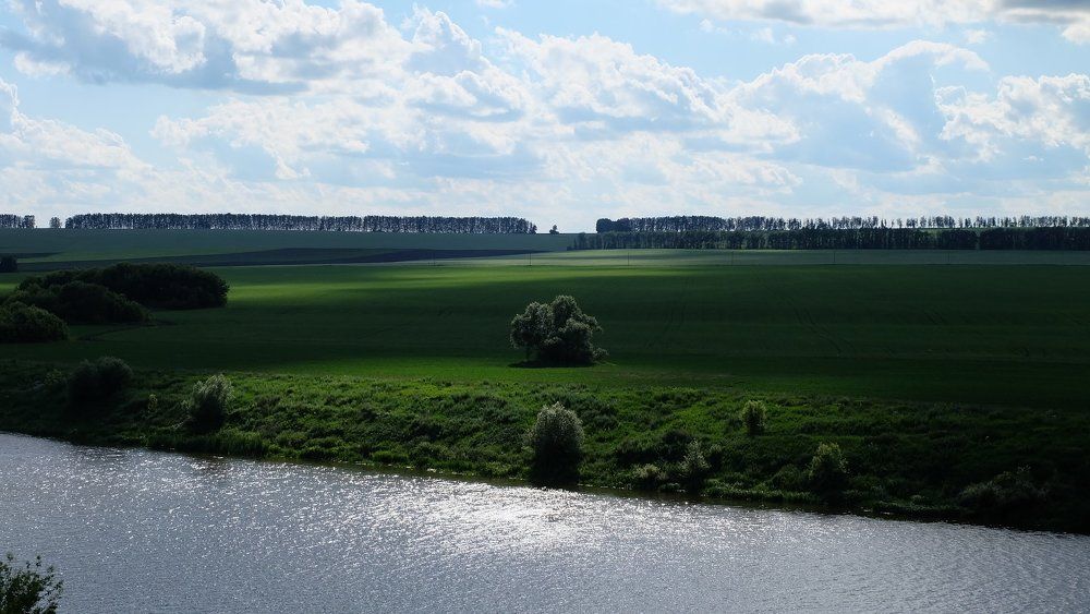 Photograph by Anna Pankratova