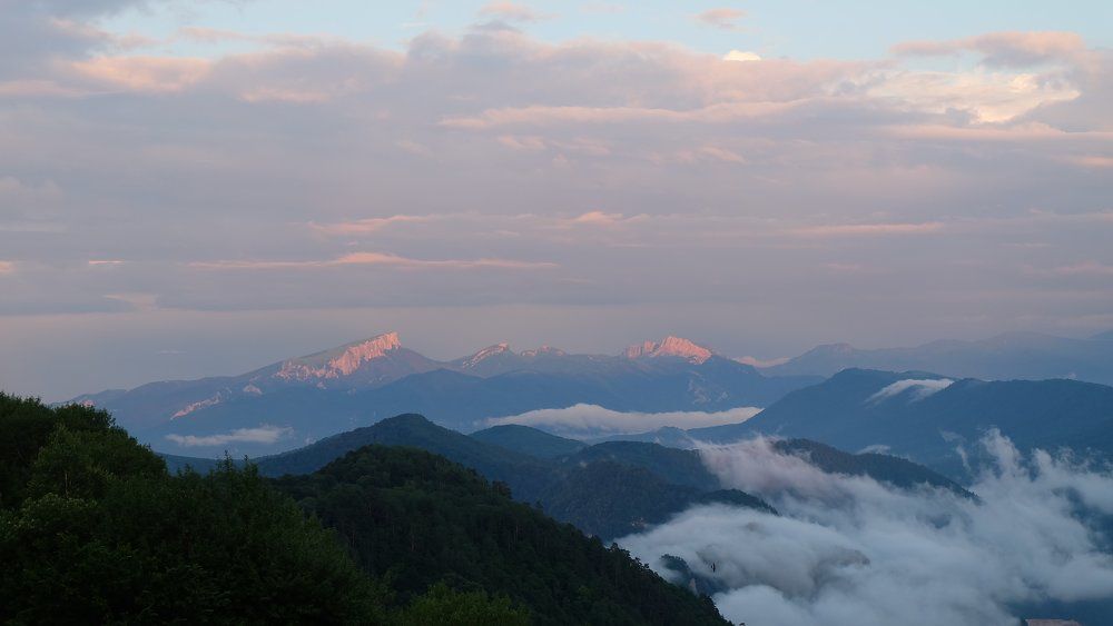 Photograph by Anna Pankratova