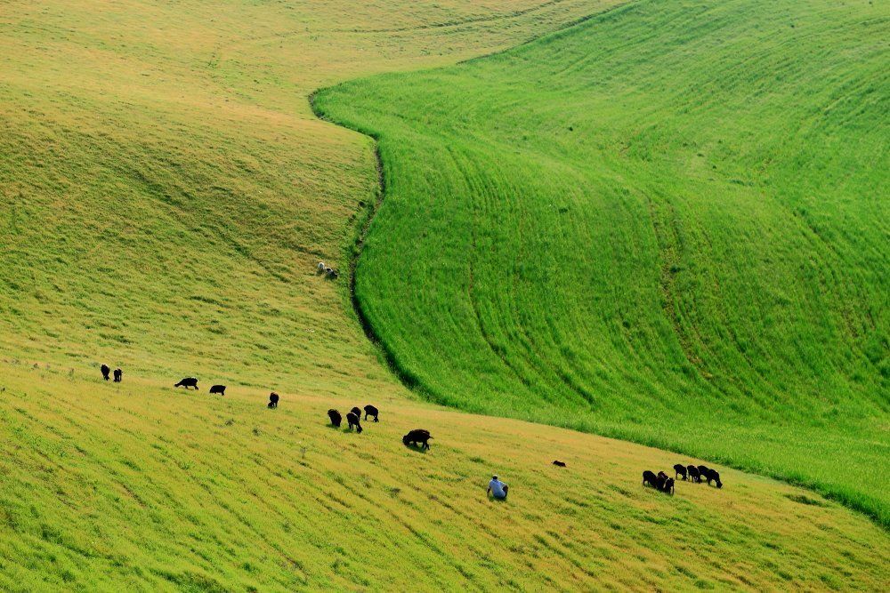 Село Красногорск. Ташкентская обл.