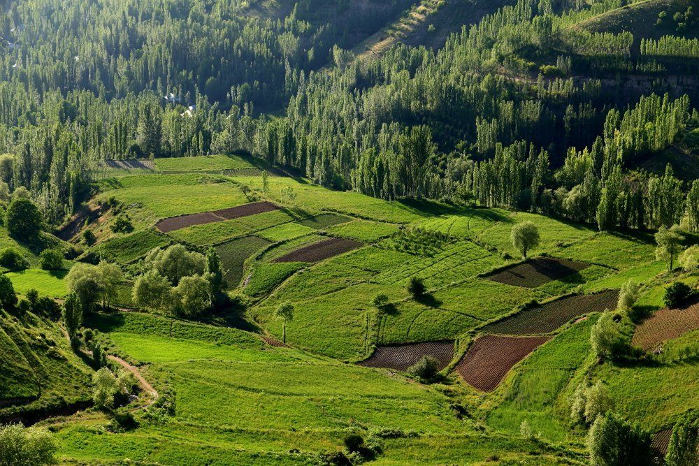 Село Гилан. Кашкадарьинская обл.