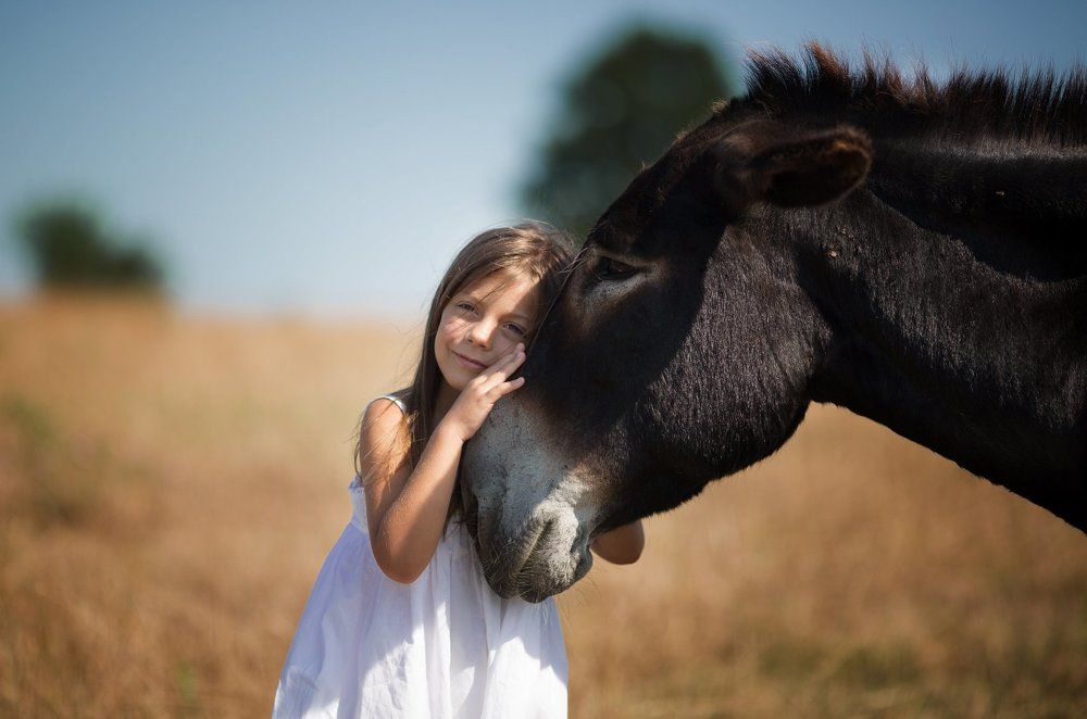 Photograph by Наталья Бурнина