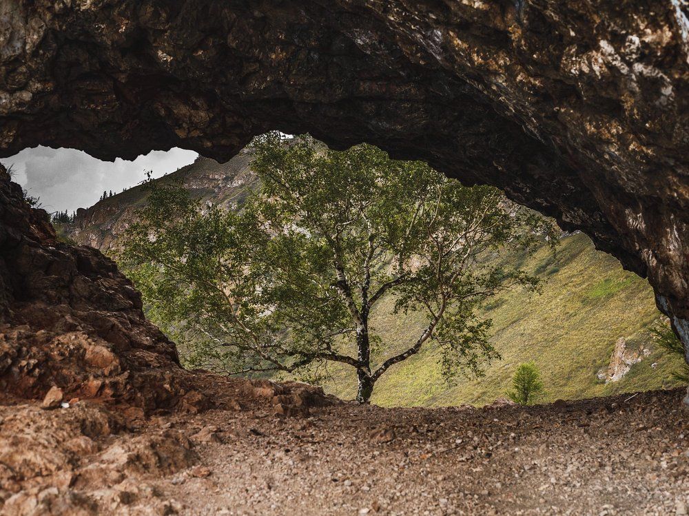 Скала "арка"