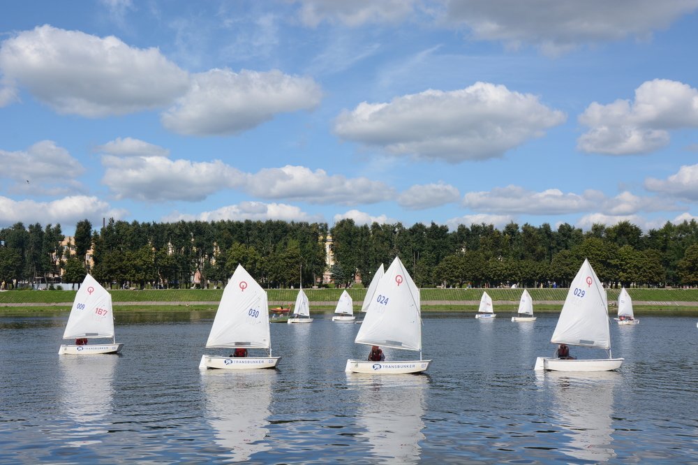 Парусная регата