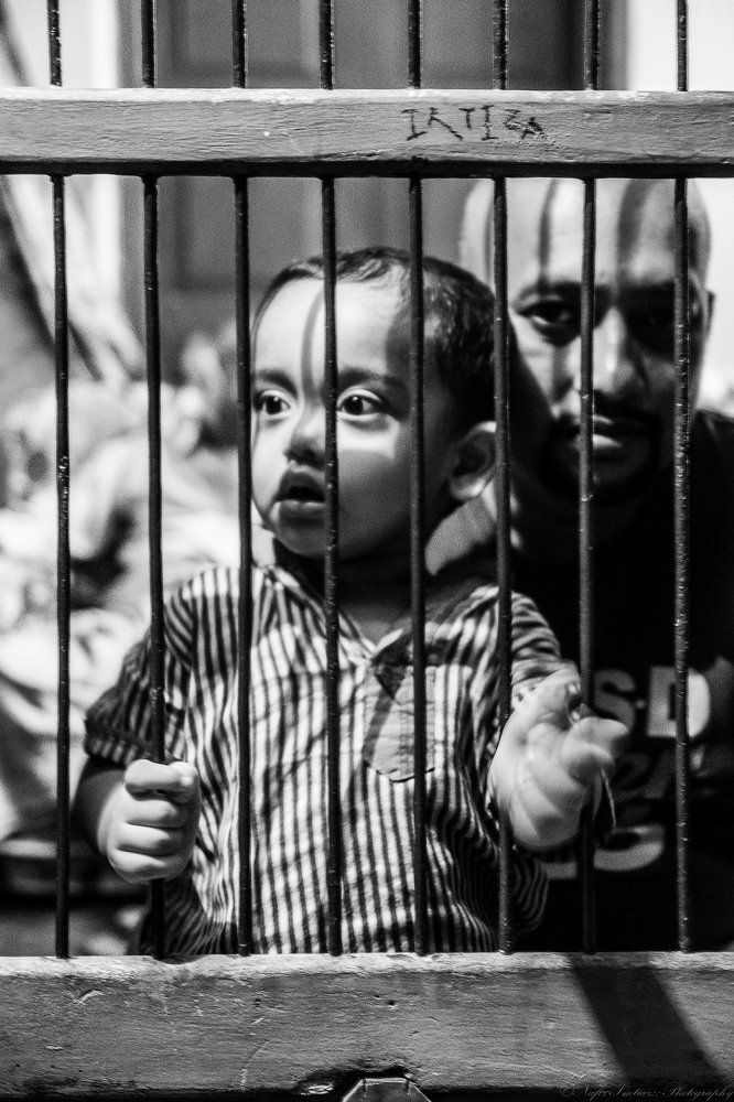 Фотография автора Nafiz Imtiaz