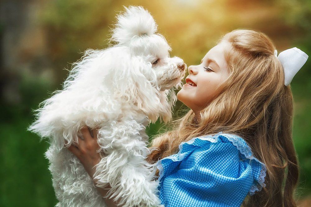 Моменты счастья