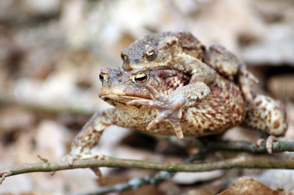 Photograph by Ekaterina Karnauh