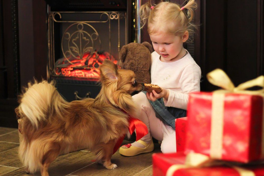 Поел сам,покорми друга