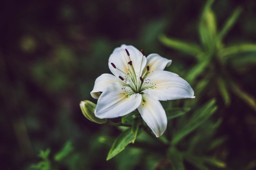 Photograph by Ксения Хлопова