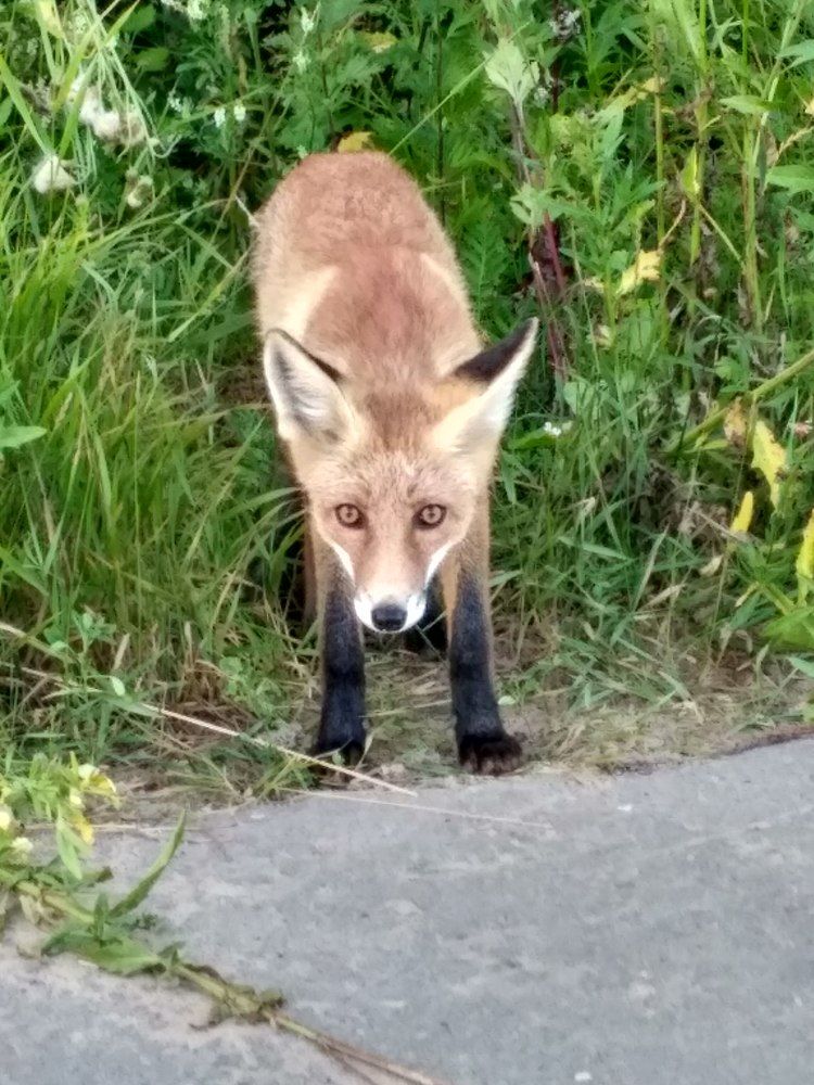 Photograph by Ольга