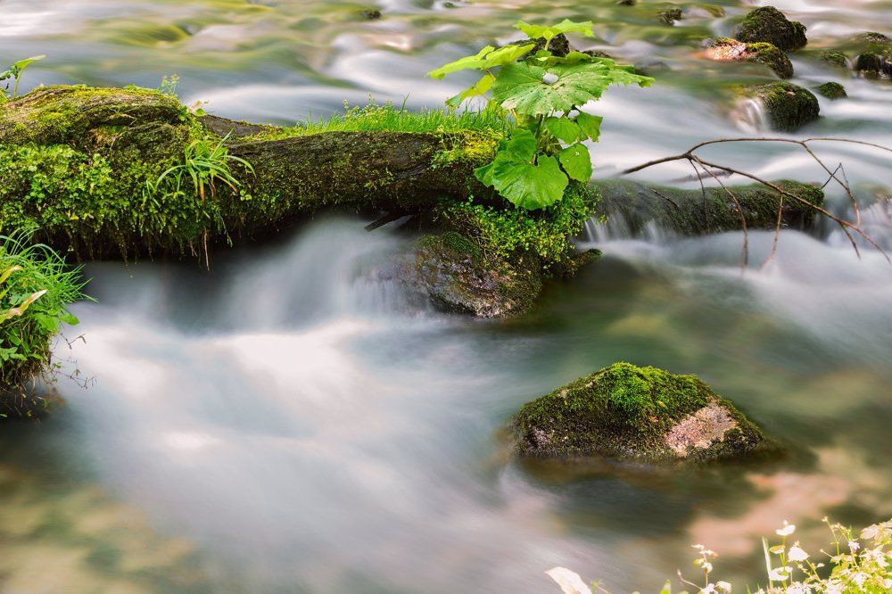 Photograph by Белов Алексей