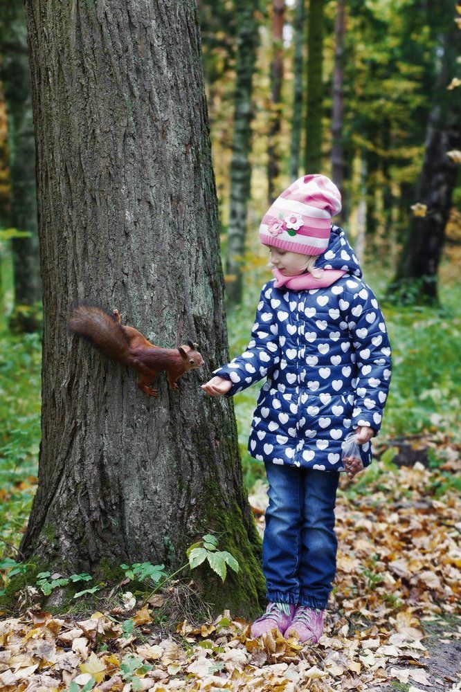 Photograph by Горшечников Сергей