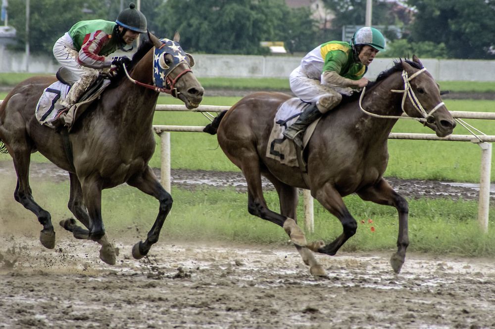 Скачки. Лидер уходит в отрыв.