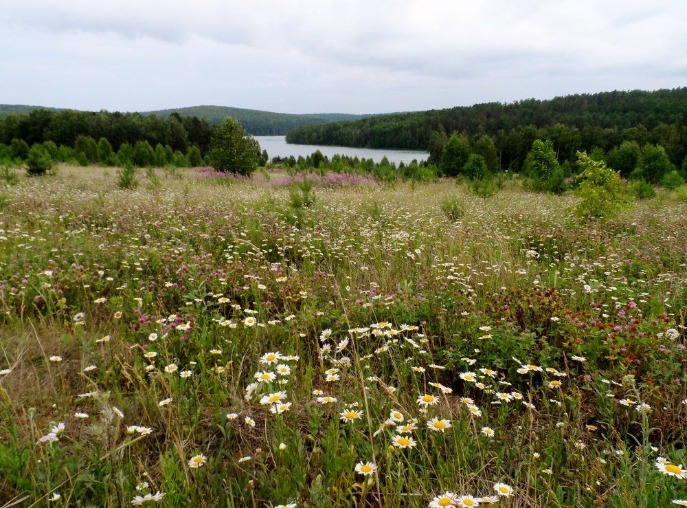 Русские просторы