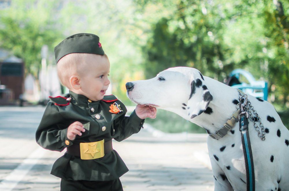 Фотография автора Дарья Шевченко