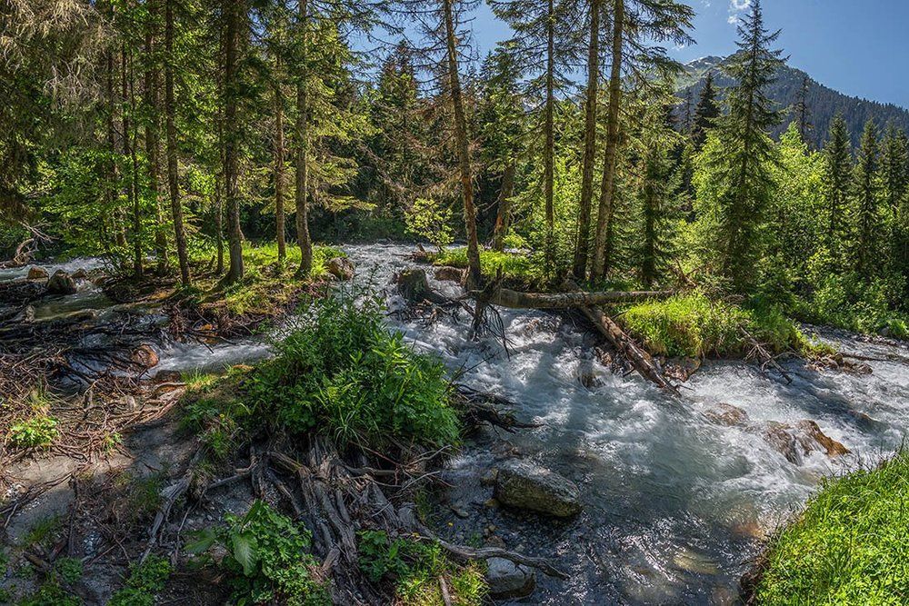 Река Гоначхир.