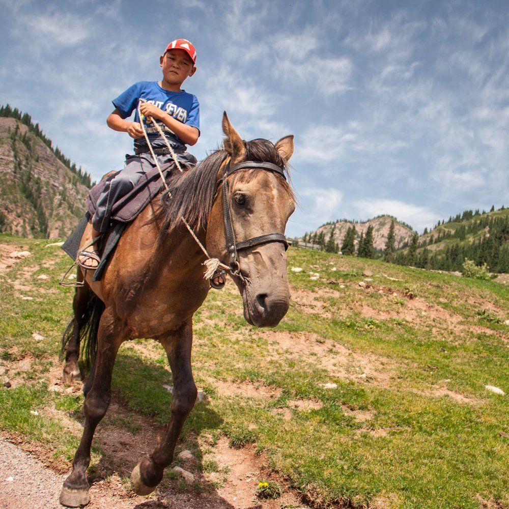 Юный наездник.