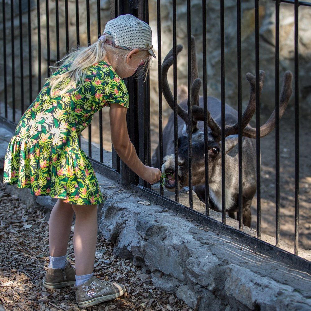 Угощайся.....