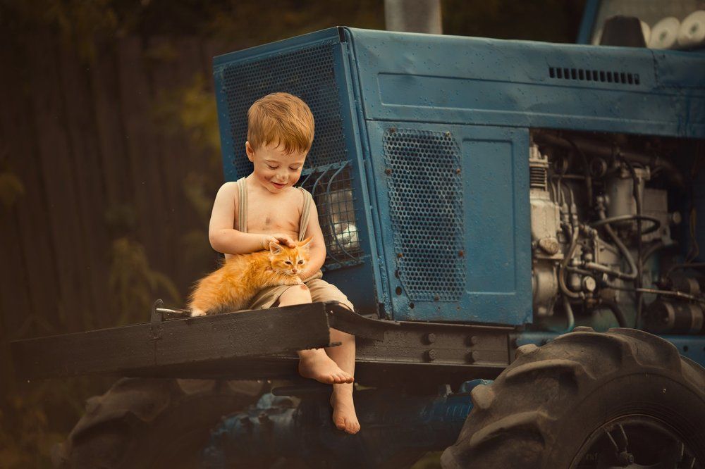 Лето в деревне