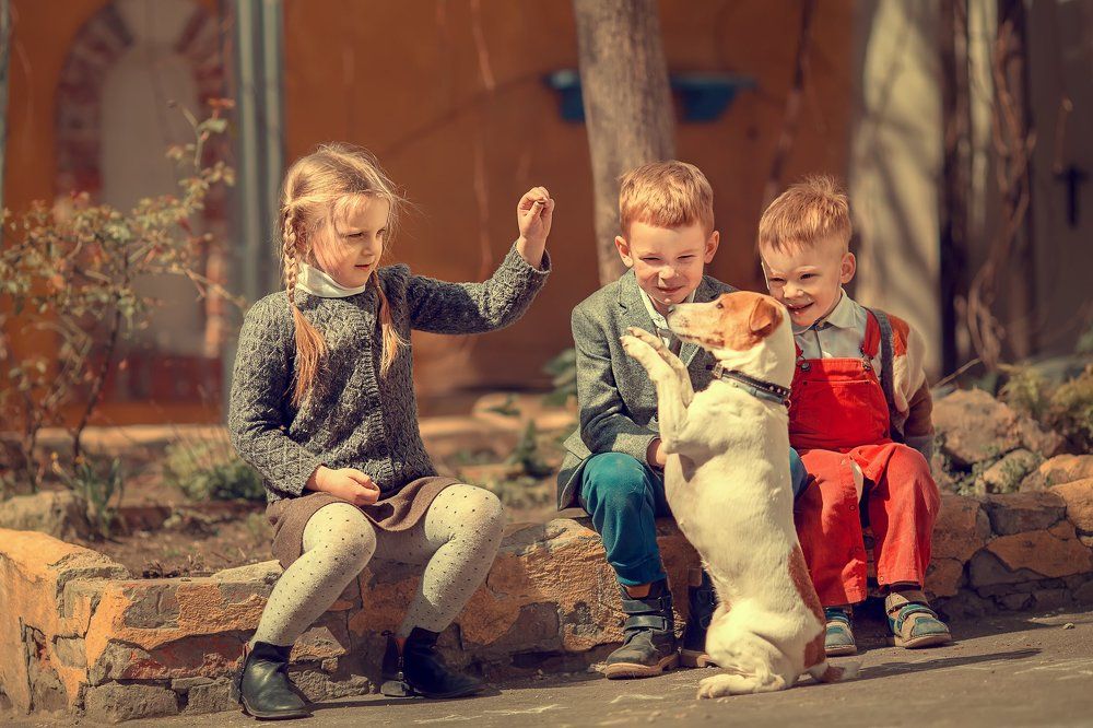 Ребята с нашего двора