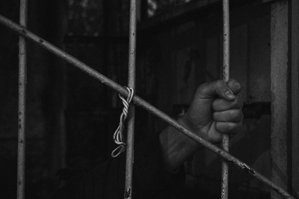 " Freedom is Slavery " George Orwell 1984